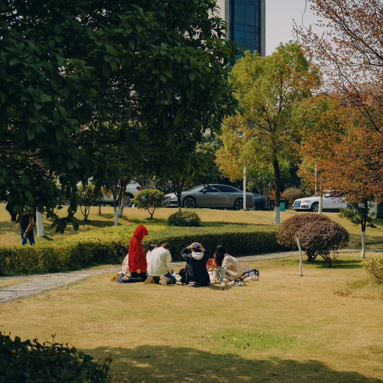 * Social Behavior in Public Spaces