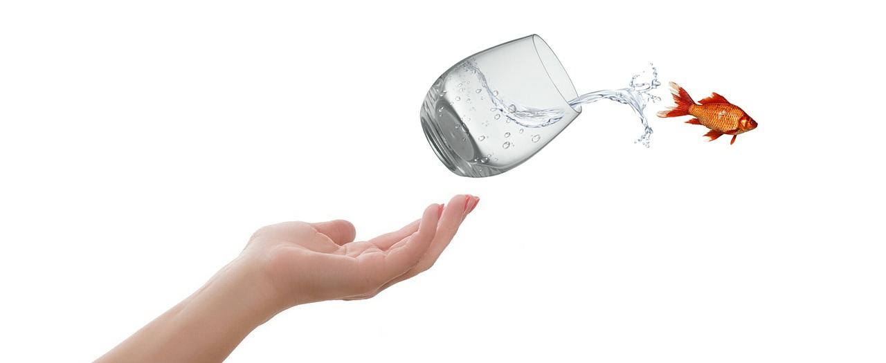 Overcoming Common Change Management Challenges