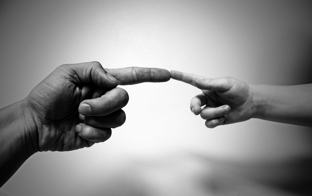 Client Consultation and Communication