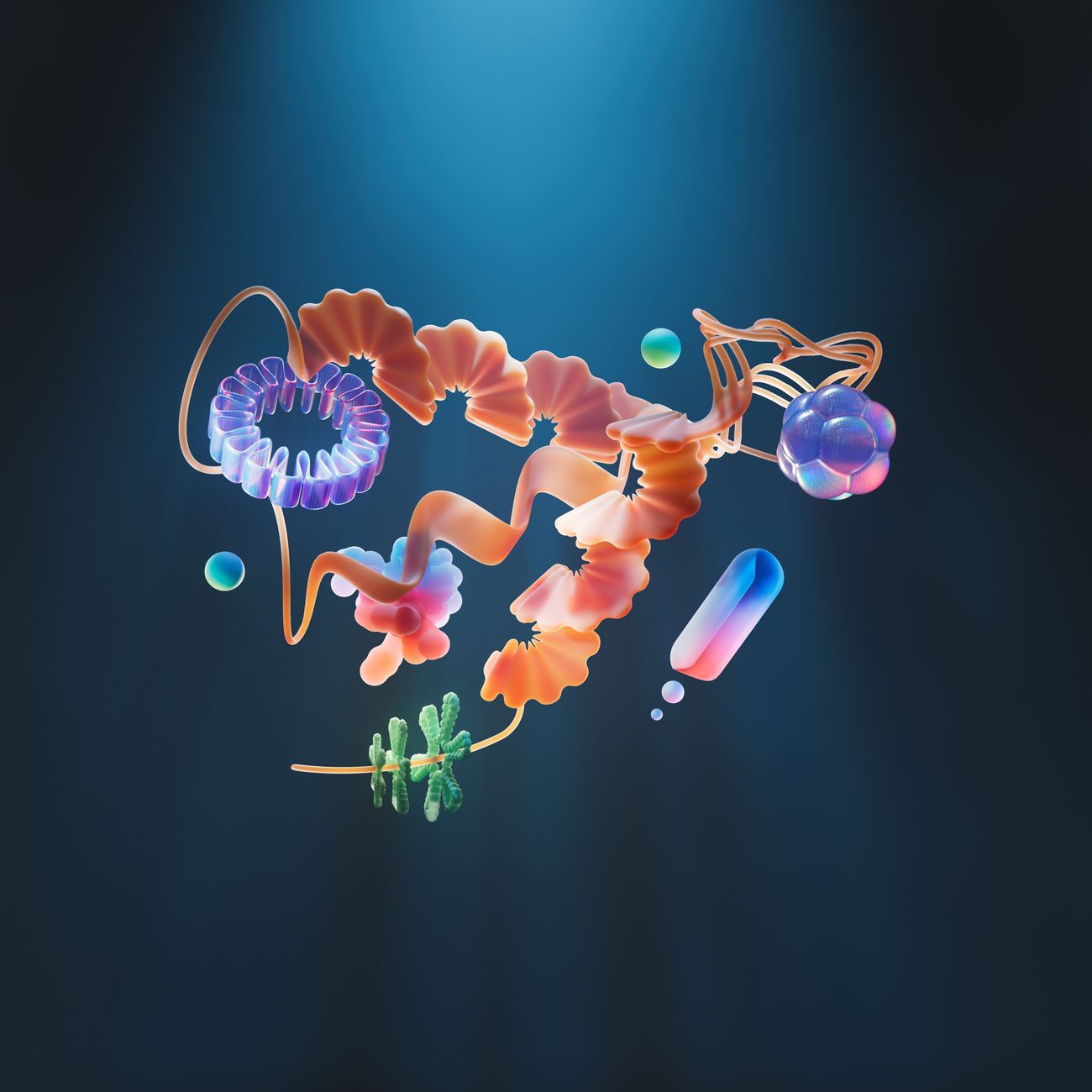 Biochemistry of Decomposition