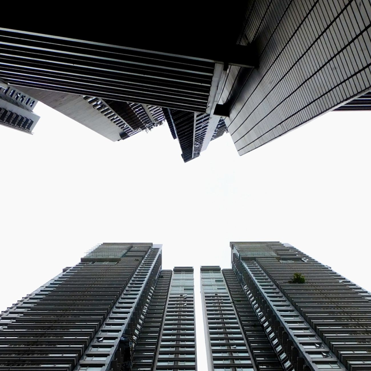Steel Frame Design for Tall Buildings