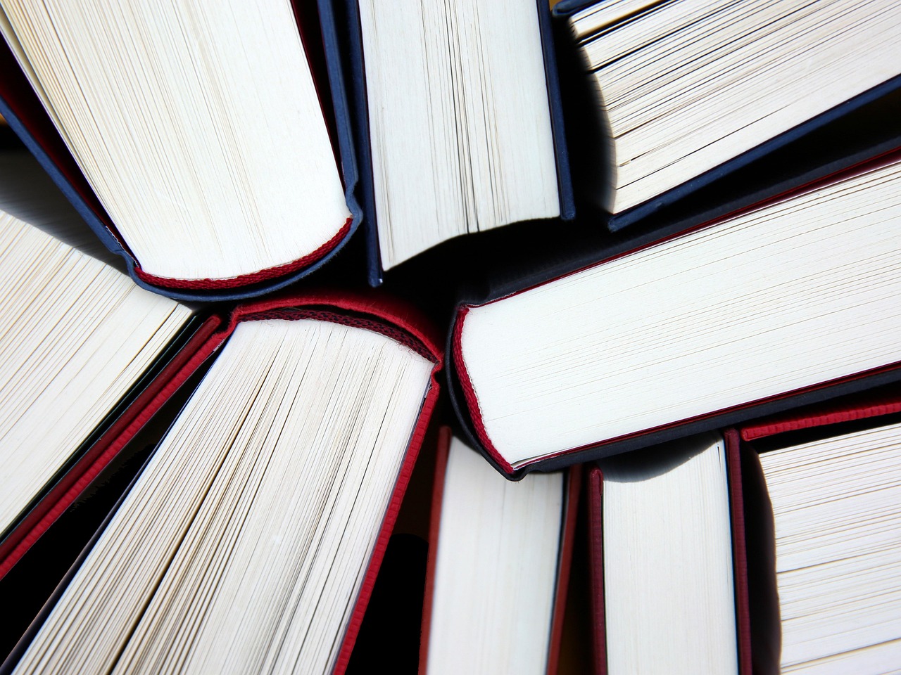 Research Methods in Diary Studies  