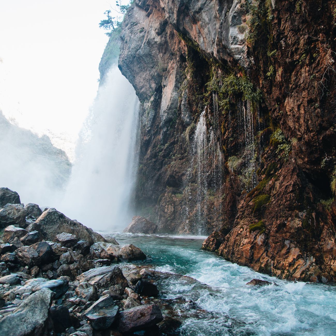 Environmental Impact of Hydropower  